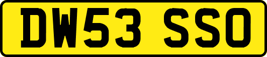DW53SSO