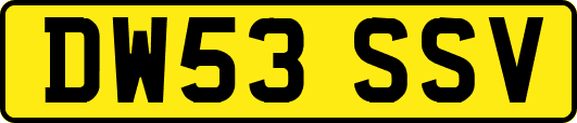 DW53SSV