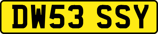 DW53SSY