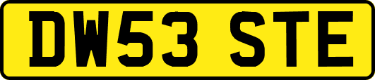 DW53STE