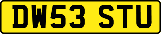 DW53STU
