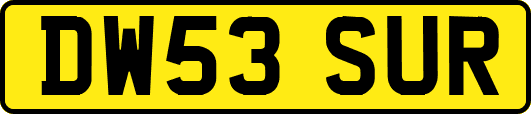 DW53SUR