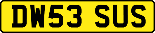 DW53SUS