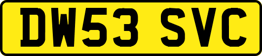 DW53SVC