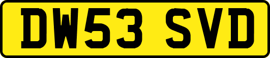 DW53SVD