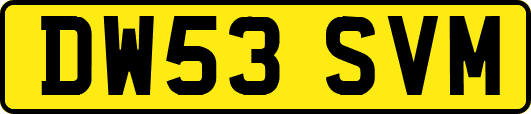 DW53SVM