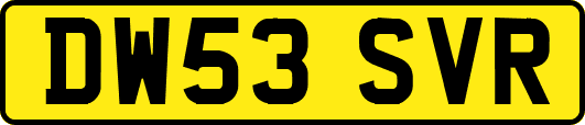 DW53SVR