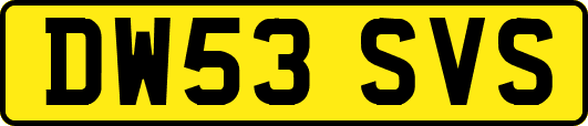 DW53SVS