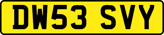 DW53SVY