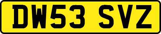 DW53SVZ