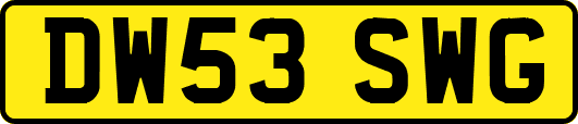 DW53SWG