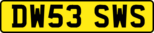 DW53SWS