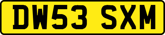 DW53SXM