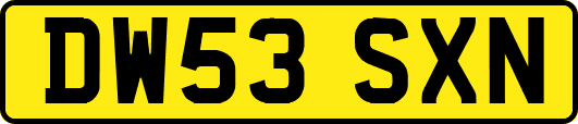 DW53SXN