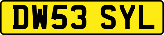 DW53SYL