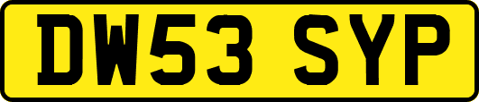 DW53SYP