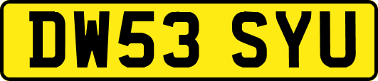 DW53SYU