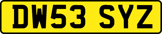 DW53SYZ