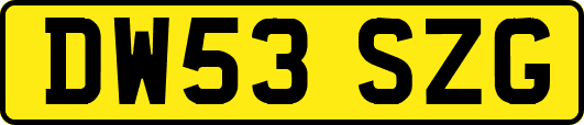 DW53SZG