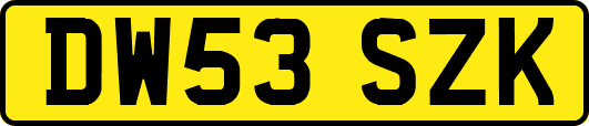 DW53SZK
