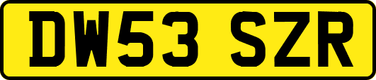 DW53SZR