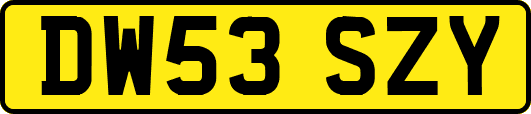 DW53SZY
