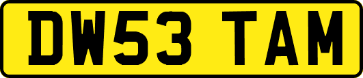 DW53TAM