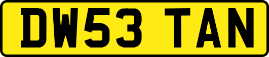 DW53TAN