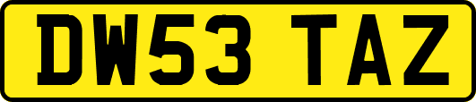 DW53TAZ