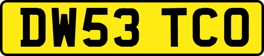 DW53TCO