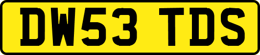 DW53TDS