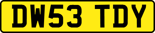 DW53TDY