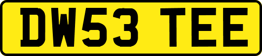 DW53TEE