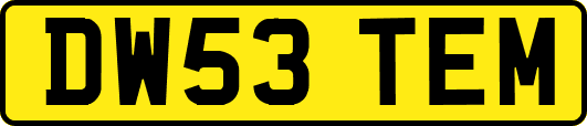 DW53TEM