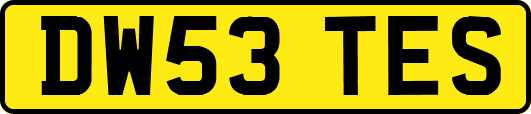 DW53TES