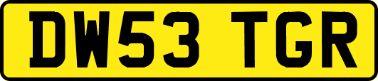 DW53TGR