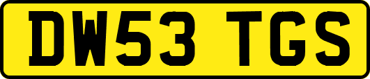 DW53TGS