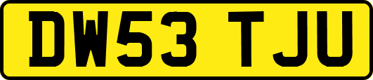 DW53TJU