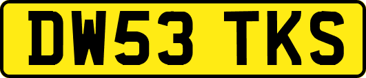 DW53TKS