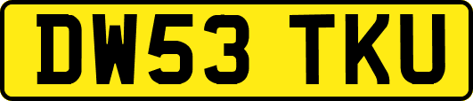 DW53TKU