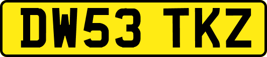 DW53TKZ