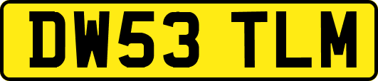 DW53TLM