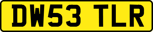 DW53TLR