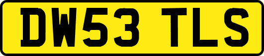 DW53TLS