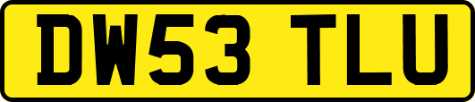 DW53TLU