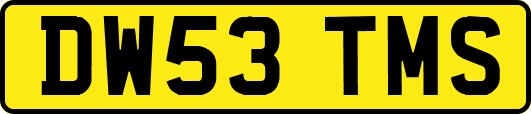 DW53TMS
