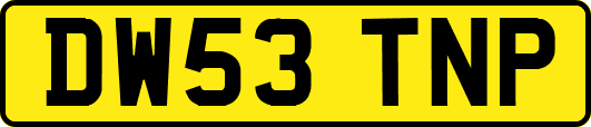 DW53TNP