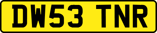 DW53TNR