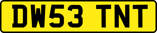 DW53TNT