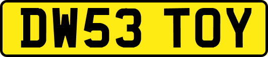 DW53TOY
